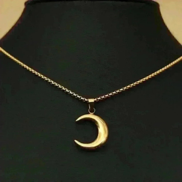 Gold Crescent Moon Necklace on a sleek 18k Gold Filled Chain

24 inches - Picture 2 of 3